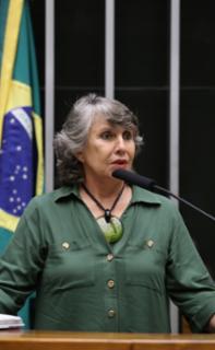 Homenagem aos 25 anos da Lei da Reforma Psiquiátrica. Dep. Erika Kokay (PT - DF)