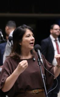 Discussão e votação de propostas legislativas. Dep. Carla Dickson (UNIÃO-RN)