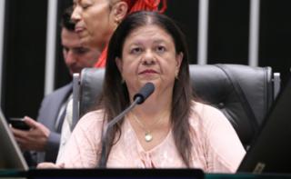 Discussão e votação de propostas legislativas. Dep. Laura Carneiro (PSD-RJ)