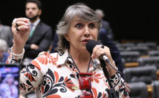Discussão e votação de propostas legislativas. Dep. Erika Kokay (PT-DF)