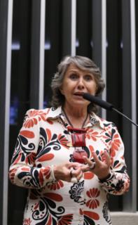 Discussão e votação de propostas legislativas. Dep. Erika Kokay (PT-DF)