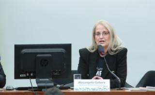 Audiência Pública - Política de Prevenção e Repressão a Crimes Cibernéticos contra Animais.  Diretora de Relacões Institucionais e Internacionais do Instituto Ampara Animal, Rosangela Gebera.