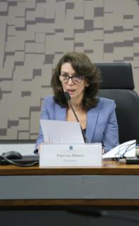 Audiência Pública - Regulamentação dos Profissionais Multimídia a partir da Lei n° 15.325 de 2026. Presidente do Conselho de Comunicação Social , Patricia Bianco.