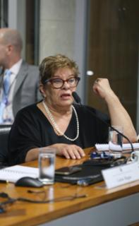 Audiência Pública - Regulamentação dos Profissionais Multimídia a partir da Lei n° 15.325 de 2026. Conselheira, Sonia Santana.