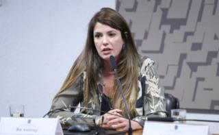 Audiência Pública - Regulamentação dos Profissionais Multimídia a partir da Lei n° 15.325 de 2026. Associação Brasileira de Produtos de Som, Bia Ambrogi.