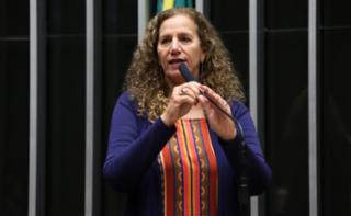 Discussão e votação de propostas legislativas. Dep. Jandira Feghali (PCdoB - RJ)