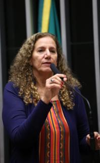 Discussão e votação de propostas legislativas. Dep. Jandira Feghali (PCdoB - RJ)