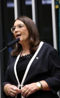 Discussão e votação de propostas legislativas. Dep. Bia Kicis (PL - DF)