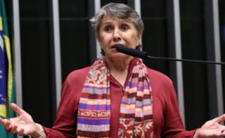 Discussão e votação de propostas legislativas. Dep. Erika Kokay (PT - DF)
