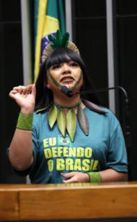 Discussão e votação de propostas legislativas. Dep. Célia Xakriabá (PSOL - MG)