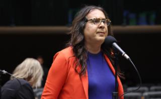 Discussão e votação de propostas legislativas. Dep. Duda Salabert (PSOL - MG)