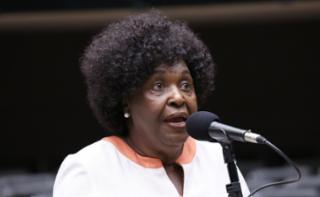 Discussão e votação de propostas legislativas. Dep. Benedita da Silva (PT - RJ)