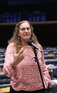 Discussão e votação de propostas legislativas. Dep. Jandira Feghali (PCdoB - RJ)