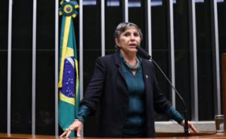 Discussão e votação de propostas legislativas. Dep. Erika Kokay (PT - DF)