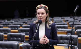 Discussão e votação de propostas legislativas. Dep. Julia Zanatta (PL-SC)