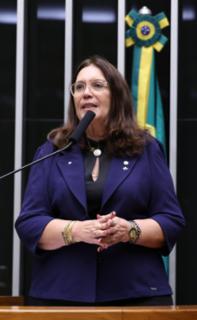 Discussão e votação de propostas legislativas. Dep. Bia Kicis (PL - DF)