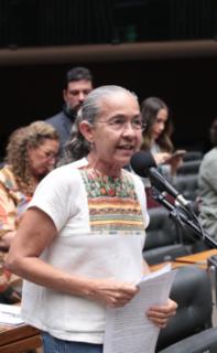 Discussão e votação de propostas legislativas. Dep. Heloisa Helena (REDE - RJ)