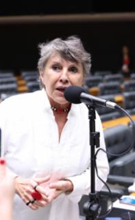 Deliberação dos dispositivos 4, 5, 23 e 25 do Veto nº 51 de 2025 (PLDO 2026). Dep. Erika Kokay (PT - DF)