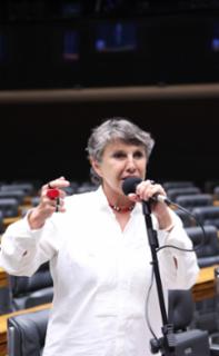 Discussão e votação de propostas legislativas. Dep. Erika Kokay (PT-DF)