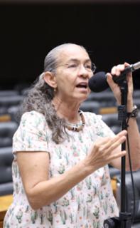 Discussão e Votação de propostas legislativas. Dep. Heloisa Helena (REDE - RJ)