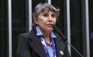 Discussão e Votação de propostas legislativas. Dep. Erika Kokay (PT - DF)