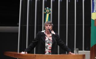 Discussão e votação de propostas legislativas. Dep. Erika Kokay (PT-DF)