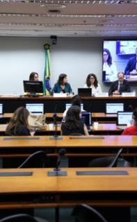 Audiência Pública - Aspectos jurídicos da criminalização da misoginia: direito nacional constitucionalidade e experiências internacionais.