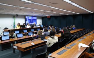 Audiência Pública - Aspectos jurídicos da criminalização da misoginia: direito nacional constitucionalidade e experiências internacionais.