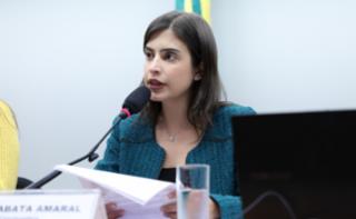 Audiência Pública - Aspectos jurídicos da criminalização da misoginia: direito nacional constitucionalidade e experiências internacionais. Dep. Tabata Amaral (PSB - SP)