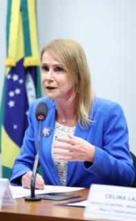 Audiência Pública - Aspectos jurídicos da criminalização da misoginia: direito nacional constitucionalidade e experiências internacionais. Presidente da Associação Brasileira de Mulheres de Carreiras Jurídicas - ABMCJ - Associação Brasileira de Mulheres de Carreiras Jurídicas - ABMCJ, Alice Bianchini