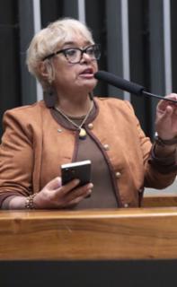Discussão e votação de propostas legislativas. Dep. Enfermeira Rejane (PCdoB - RJ)