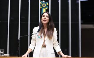Discussão e votação de propostas legislativas. Dep. Any Ortiz (PP-RS)