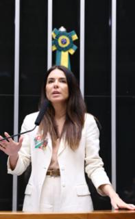 Discussão e votação de propostas legislativas. Dep. Any Ortiz (PP-RS)