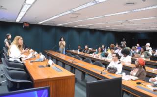 Audiência Pública - Intolerância religiosa contra povos e comunidades tradicionais de matrizes africanas e de terreiros. Dep. Erika Hilton (PSOL - SP)