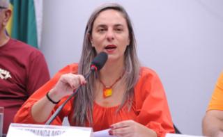 Audiência Pública - Sistema Metroferroviário no Brasil. Dep. Fernanda Melchionna (PSOL - RS)
