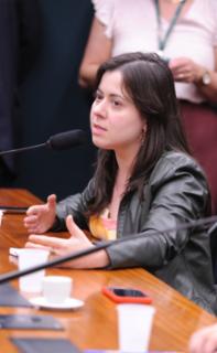 Audiência Pública - Sistema Metroferroviário no Brasil. Dep. Sâmia Bomfim (PSOL - SP)