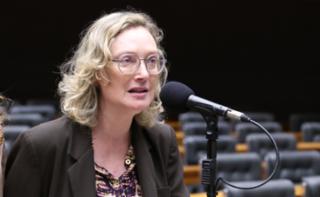 Discussão e votação de propostas legislativa. Dep. Maria do Rosário (PT - RS)
