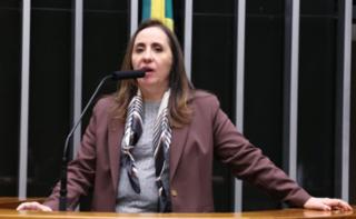 Discussão e votação de propostas legislativa. Dep. Adriana Ventura (NOVO - SP)