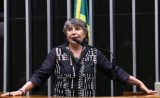 Discussão e votação de propostas legislativa. Dep. Erika Kokay (PT - DF)