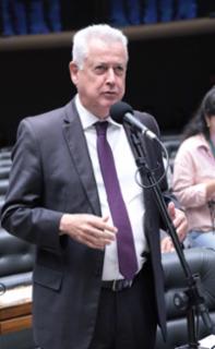 Discussão e votação de propostas legislativas. Dep. Rodrigo Rollemberg (PSB - DF)