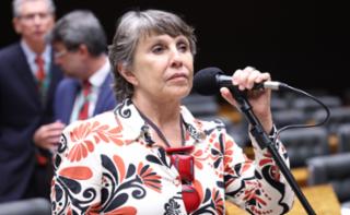 Discussão e votação de propostas legislativas. Dep. Erika Kokay (PT - DF)