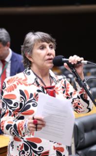Discussão e votação de propostas legislativas. Dep. Erika Kokay (PT - DF)