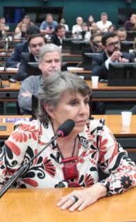 Discussão e Votação do Parecer do Relator. Dep. Erika Kokay (PT - DF)