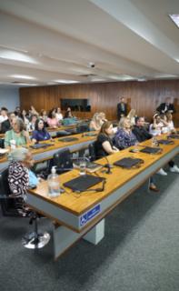 Audiência Pública - Desenvolvimento socioeconômico dos feirantes e normas de ocupação urbana