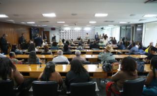 Audiência Pública - Desenvolvimento socioeconômico dos feirantes e normas de ocupação urbana