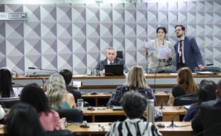 Audiência Pública - Desenvolvimento socioeconômico dos feirantes e normas de ocupação urbana. Senador, Izalci Lucas (PL - DF)