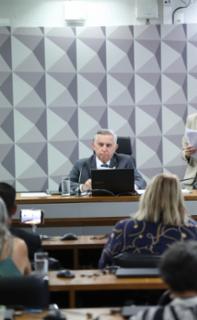 Audiência Pública - Desenvolvimento socioeconômico dos feirantes e normas de ocupação urbana. Senador, Izalci Lucas (PL - DF)