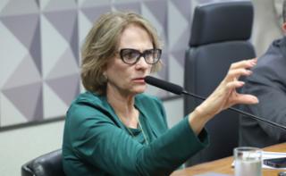 Audiência Pública - Desenvolvimento socioeconômico dos feirantes e normas de ocupação urbana. Senadora, Damares Alves (REPUBLICANOS - DF)