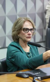 Audiência Pública - Desenvolvimento socioeconômico dos feirantes e normas de ocupação urbana. Senadora, Damares Alves (REPUBLICANOS - DF)