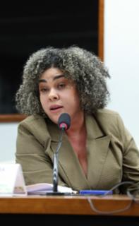Audiência Pública - Pedágio na região da Lapa, Estado do Paraná. Coordenadora Geral da Ouvidoria Nacional do Ministério dos Direitos Humanos e da Cidadania - MDHC, Sueli Vieira.